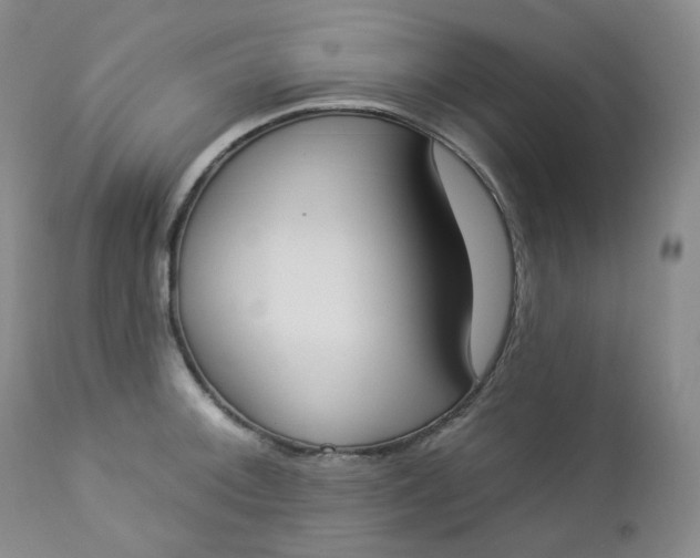 X0000112861092200909041547