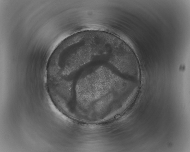 X0000112861095200909041547