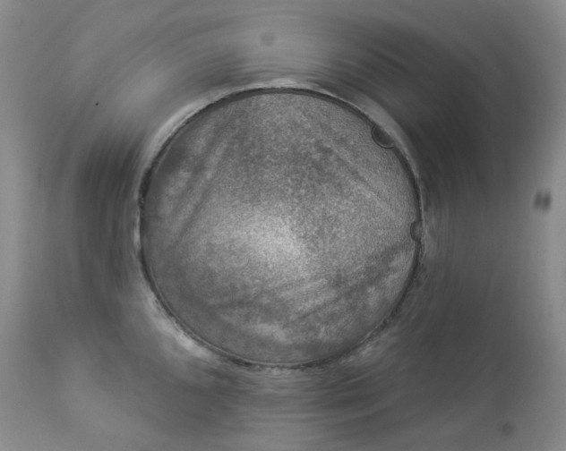 X0000112861096200909041547