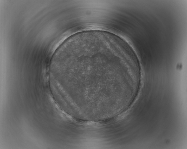 X0000112861097200909041547