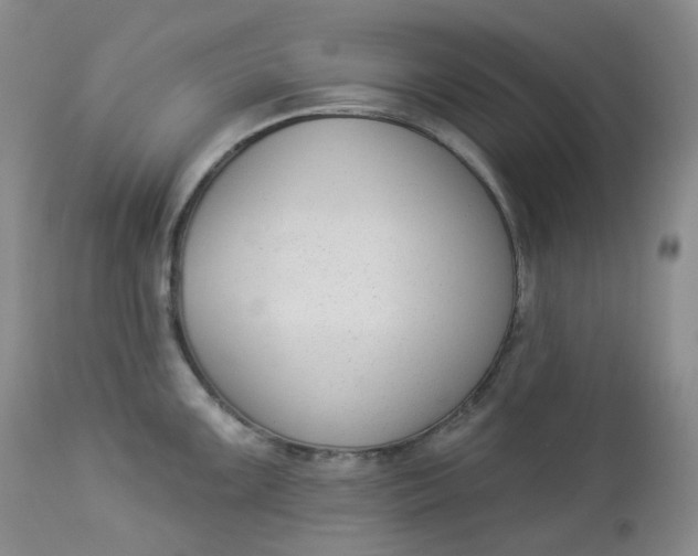 X0000112861099200909041547