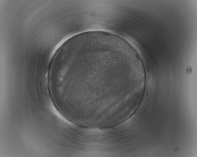 X0000112861100200909041547