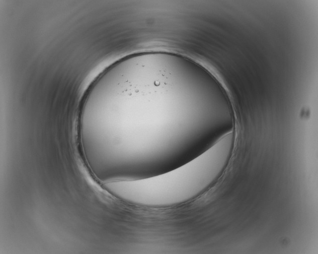 X0000112861101200909041547
