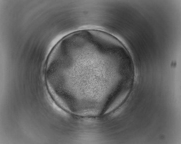 X0000112861102200909041547