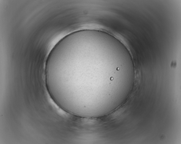 X0000112861103200909041547