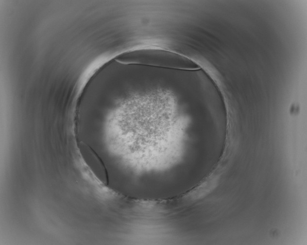 X0000112861104200909041547