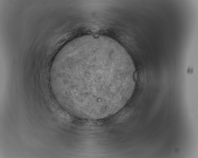 X0000112861105200909041546