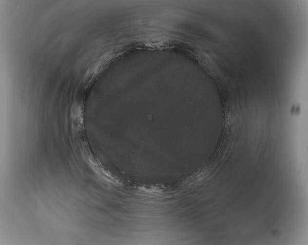 X0000112861106200909041547