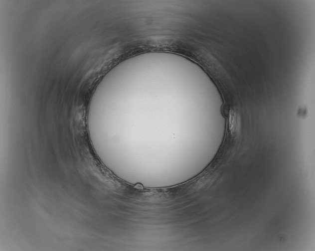 X0000112861107200909041547