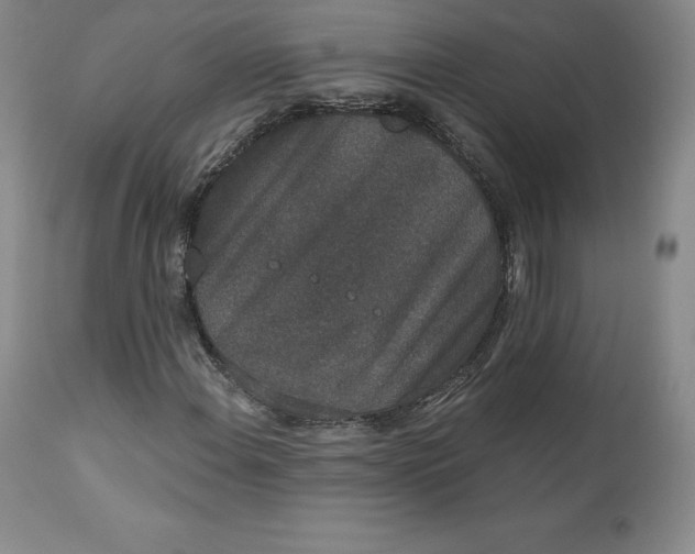 X0000112861108200909041547