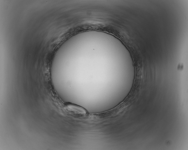 X0000112861109200909041547