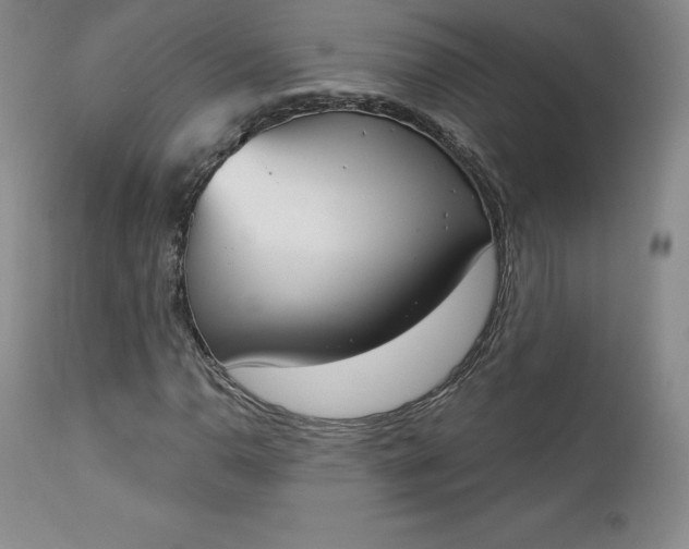 X0000112861110200909041547