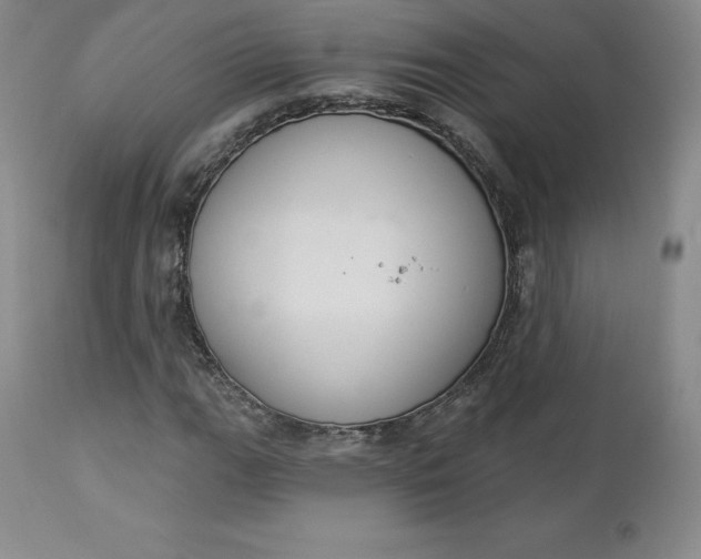 X0000112861111200909041547