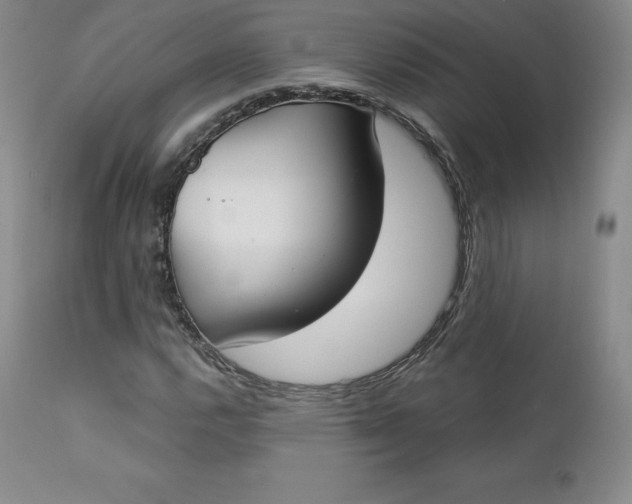 X0000112861112200909041547