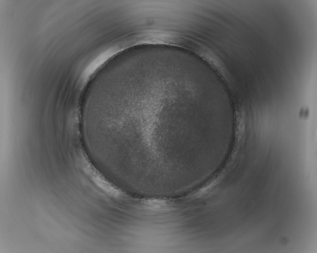 X0000112861114200909041547