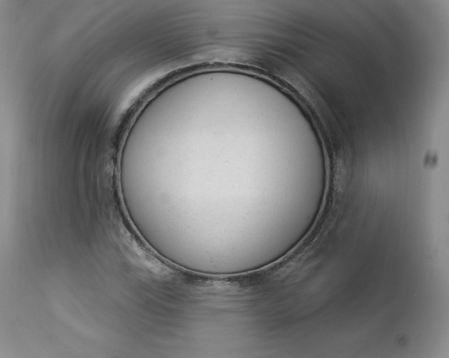 X0000112861115200909041547