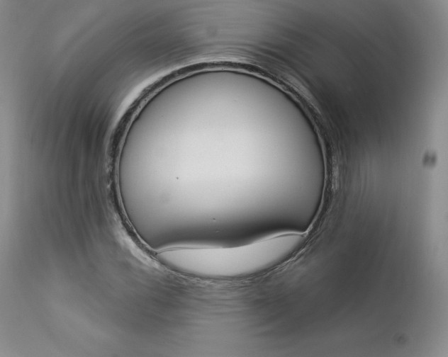 X0000112861116200909041547