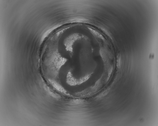 X0000112861117200909041547