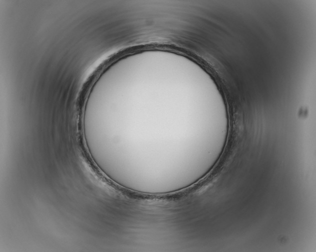 X0000112861118200909041547