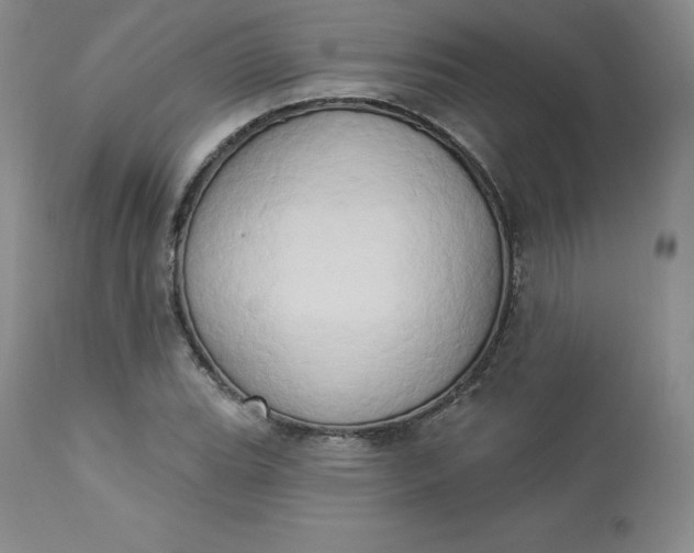 X0000112861119200909041547