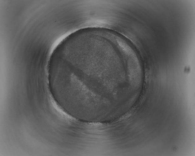 X0000112861120200909041547
