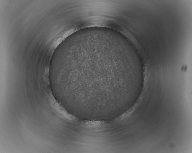 X0000112861121200909041547