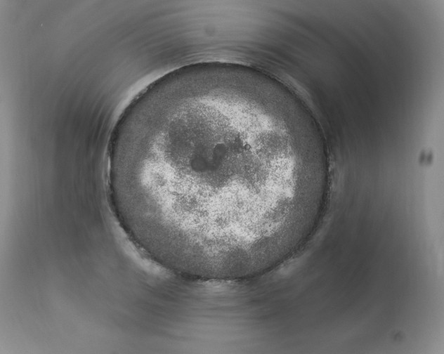 X0000112861125200909041547