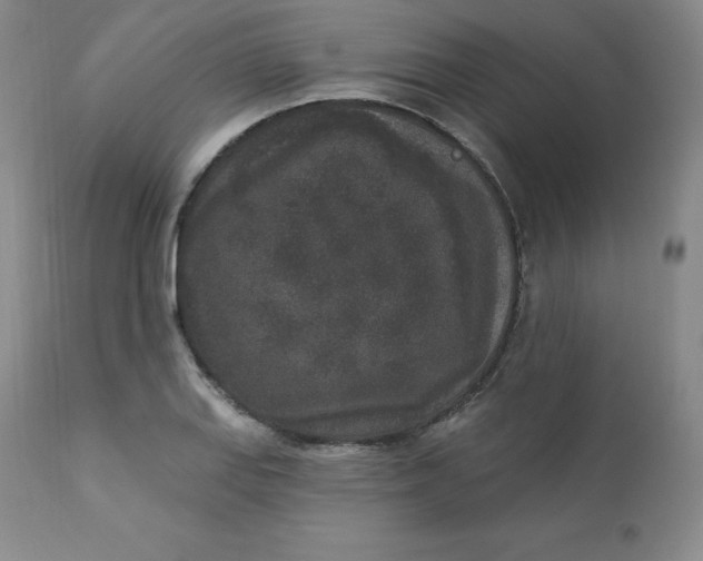 X0000112861127200909041547