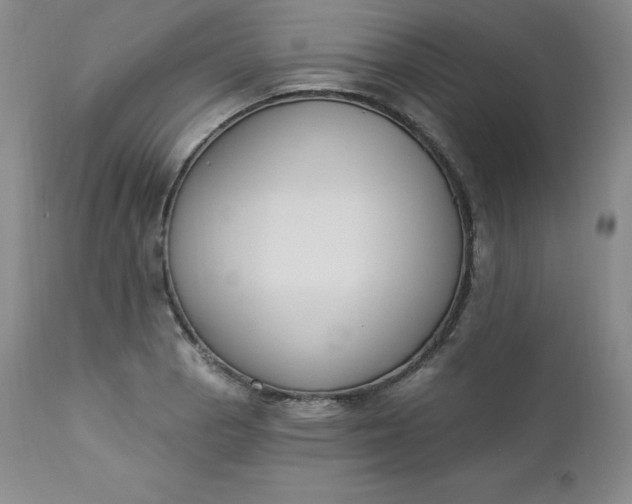 X0000112861129200909041547