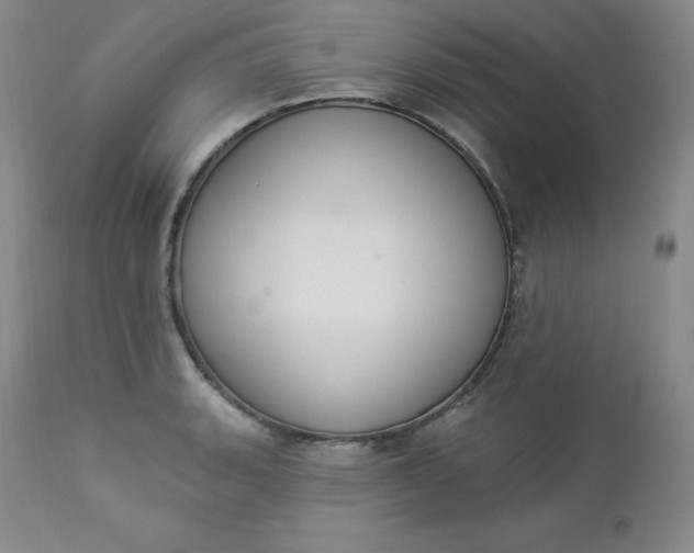 X0000112861135200909041547