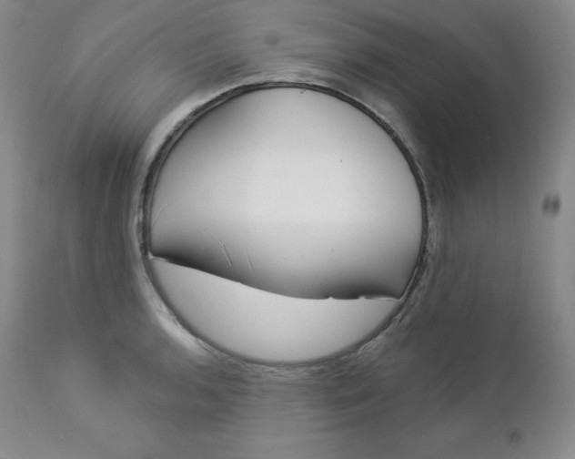 X0000112861136200909041547