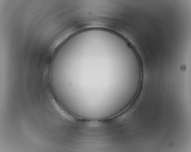 X0000112861137200909041547