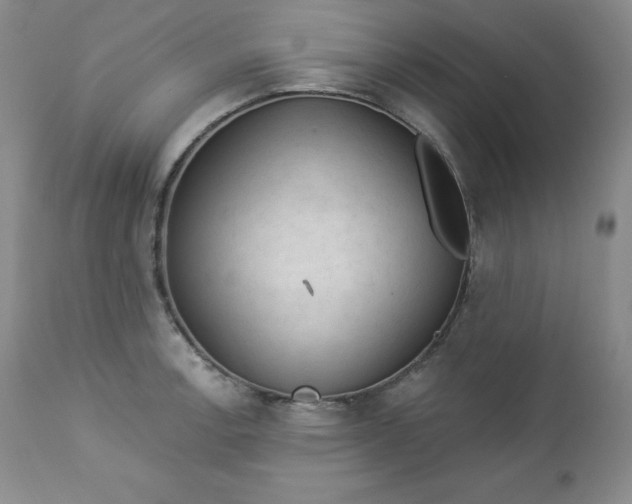 X0000112861138200909041547