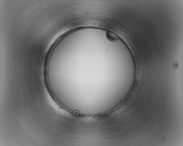 X0000112861139200909041547