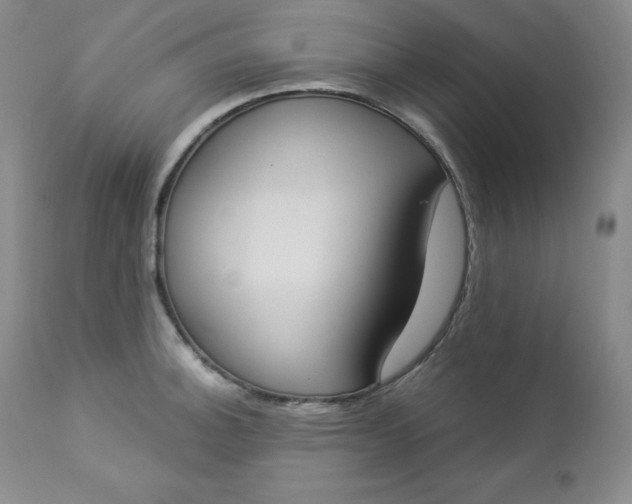 X0000112861140200909041547