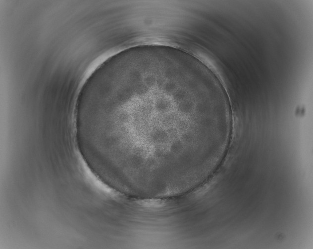 X0000112861141200909041547