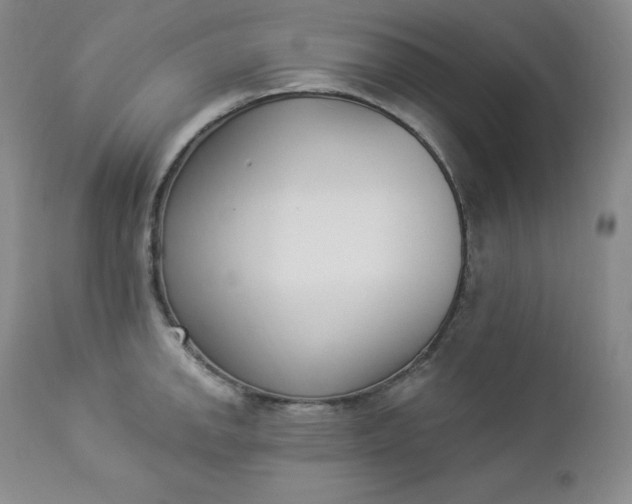 X0000112861142200909041547