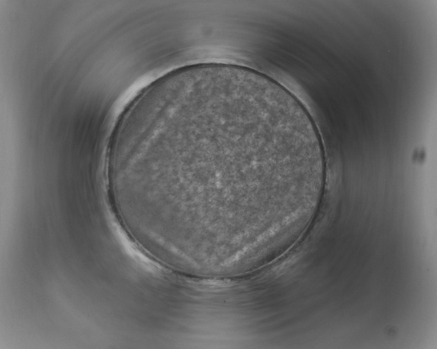 X0000112861144200909041547