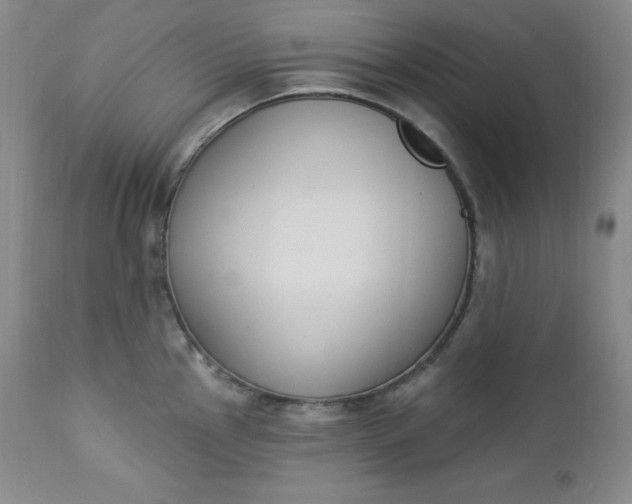 X0000112861145200909041547