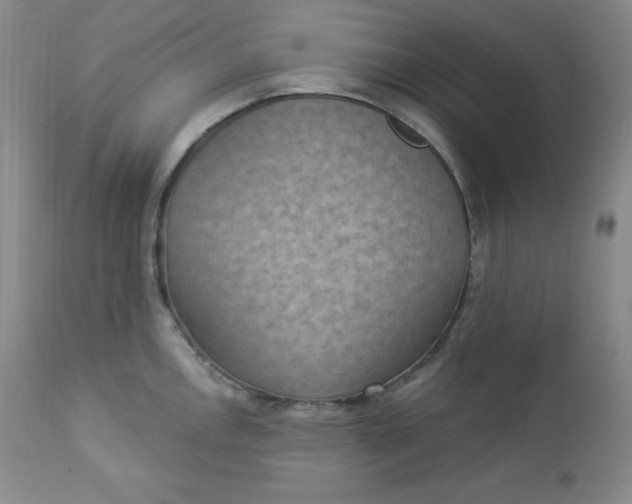 X0000112861146200909041547