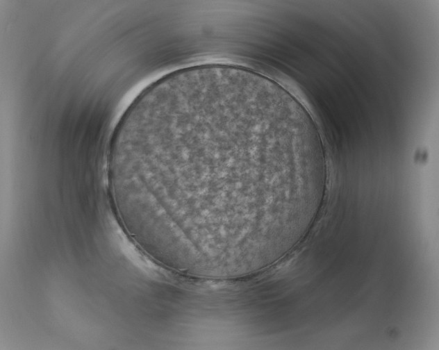 X0000112861148200909041547