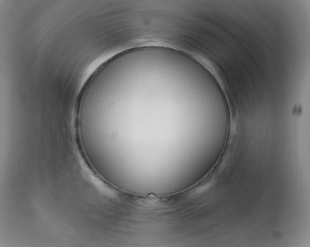 X0000112861149200909041547