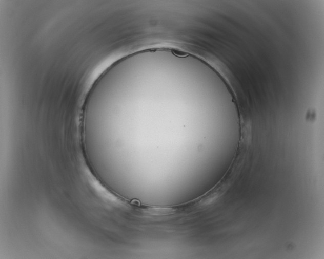 X0000112861151200909041547