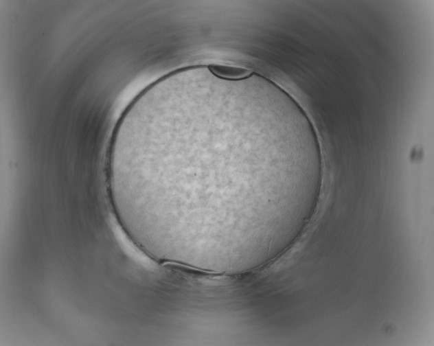 X0000112861152200909041547