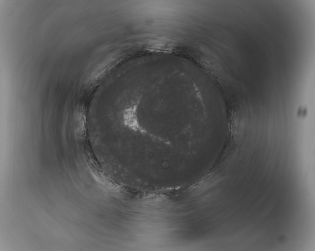 X0000112861154200909041546
