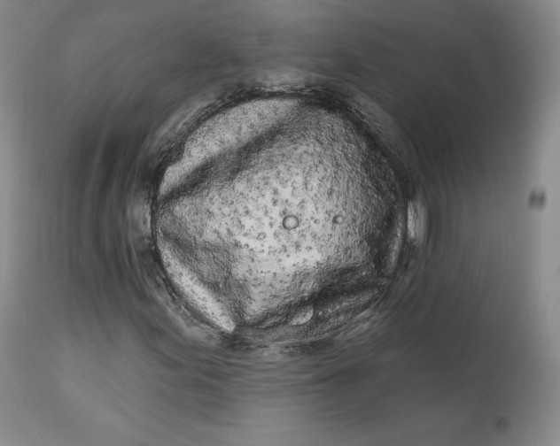 X0000112861155200909041546