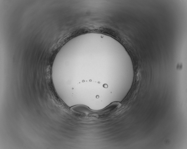 X0000112861156200909041546