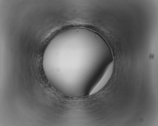 X0000112861157200909041546