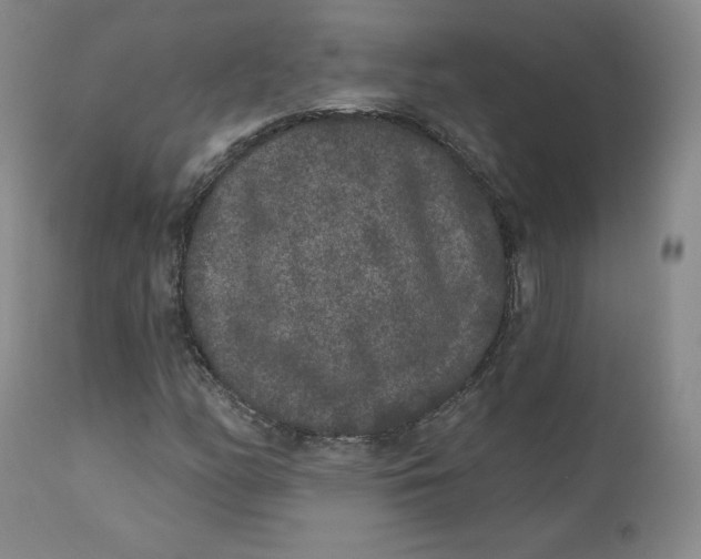X0000112861158200909041546