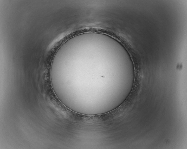 X0000112861159200909041546